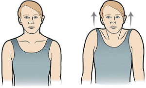 shoulder shrugs 1