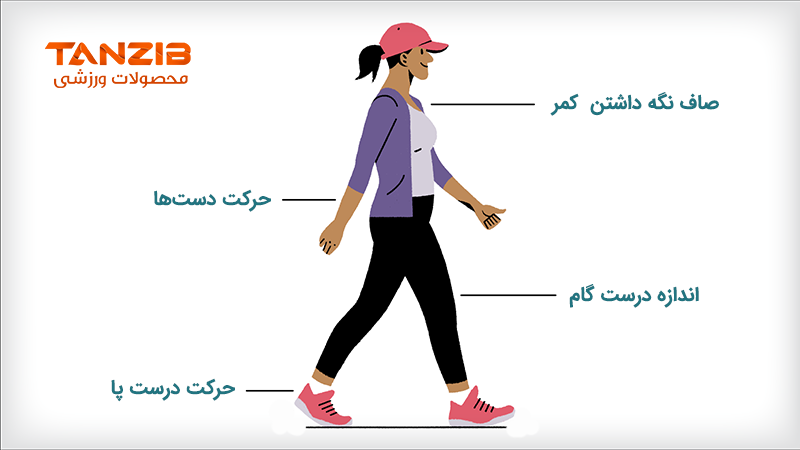 عکس وکتور از فرم صحیح راه رفتن با توضیح نوشتاری برای مقاله اشتباه رایج هنگام پیاده روی 