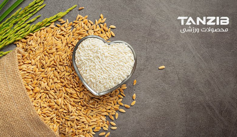 رژیم اتکینز چیست