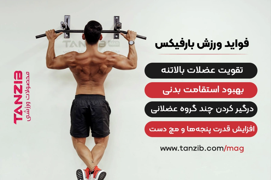 اینفوگرافیک اختصاصی وبسایت تن زیب از فوائد بارفیکس