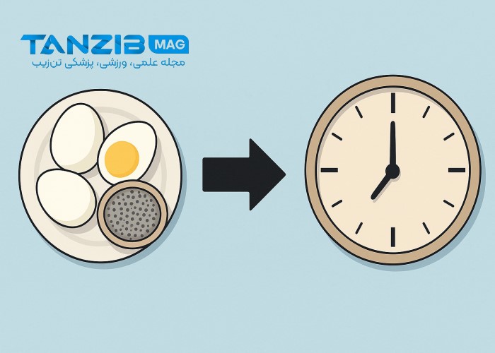 صبحانه پروتئینی - اینفوگرافی