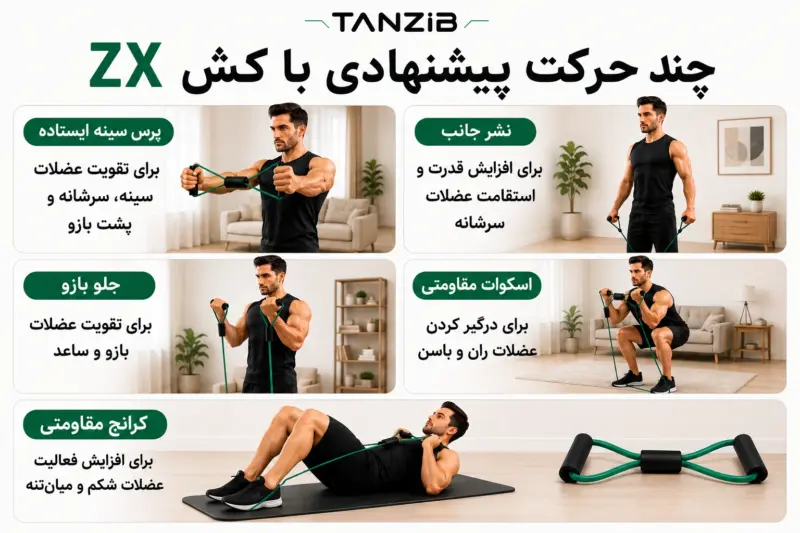 کش تمرینی زد ایکس(ZX) مدل پروانه ای تن زیب | تن زیب اینفوگرافی-حرکات-با-کش